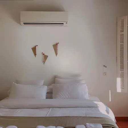 Monsora For 10 Guests In *